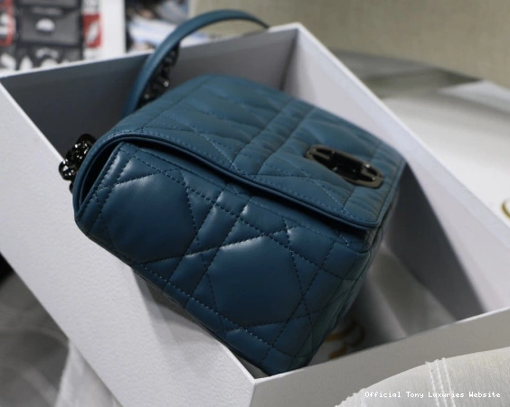Tony Luxuries LARGE CARO diro BAG 0730
